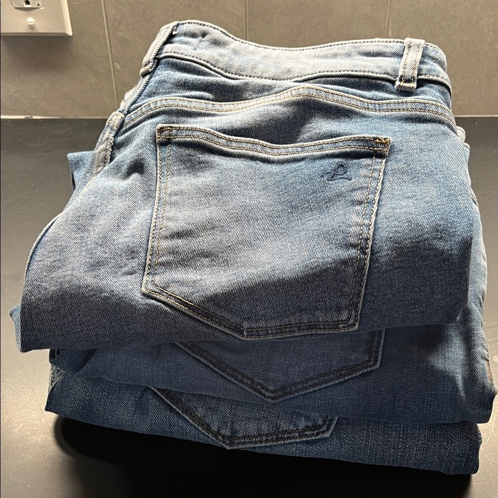 Lot of 3 Premium Denim jeans: DL1961, Hudson, Blank NYC